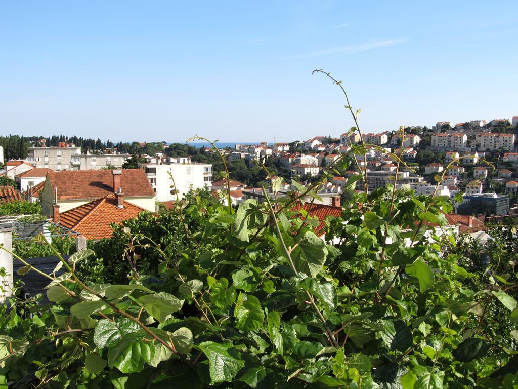 Apartments Gera Dubrovnik Dış mekan fotoğraf